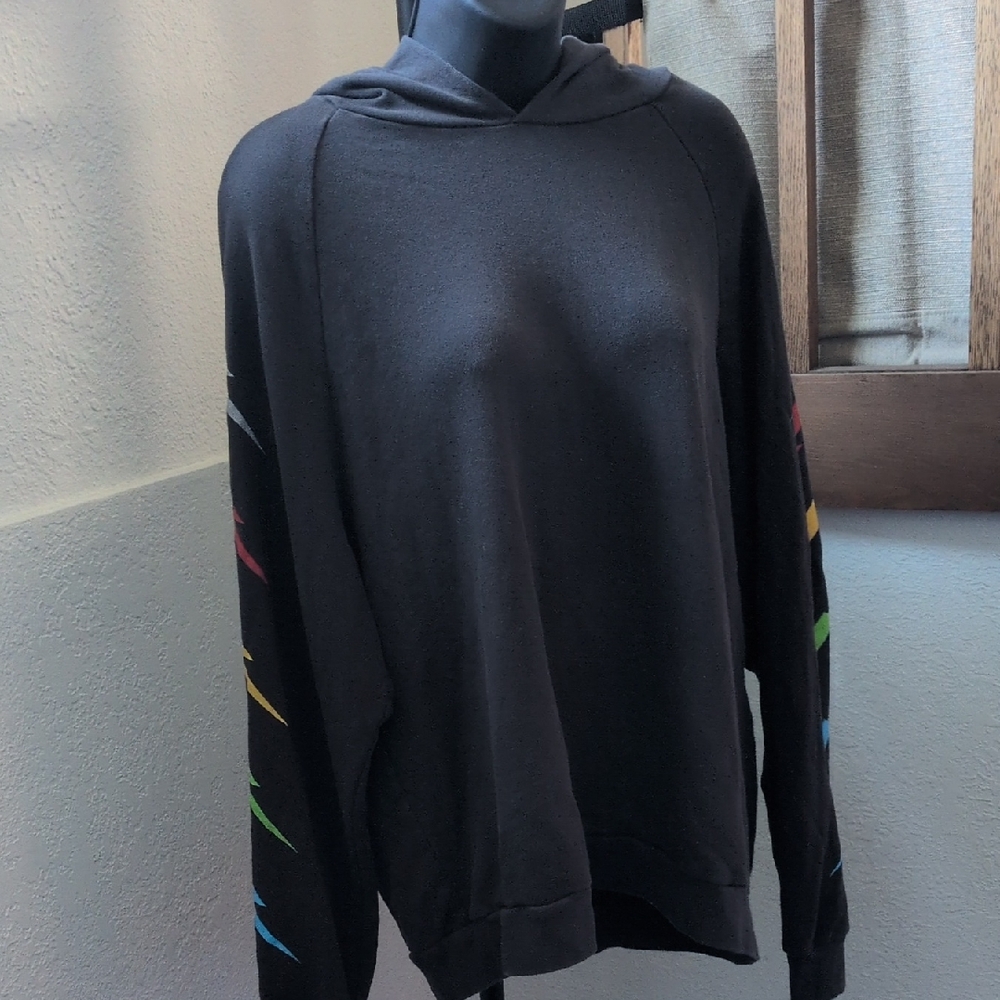 ✨ Lauren Moshi Lightweight Thermal Zebra Lightning Rainbow Hoodie Size L - Picture 2 of 8